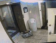 �ӽ�_|_20�������ĵ�ͼƬ_������һ�žͿ��ˡ�