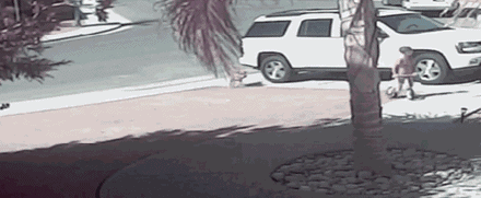 �ӽ�_|_20�������ĵ�ͼƬ_������һ�žͿ��ˡ�