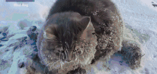 �ӽ�_|_20�������ĵ�ͼƬ_������һ�žͿ��ˡ�