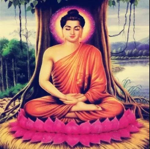 �����ӷ�������Ĳ�����ʲô��ϵ?