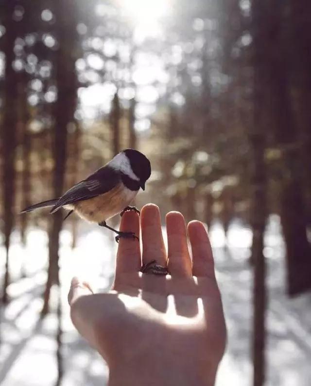 �ۿ��ݾ����Ŀ�����