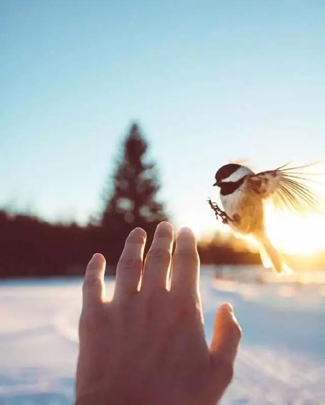 �ۿ��ݾ����Ŀ�����