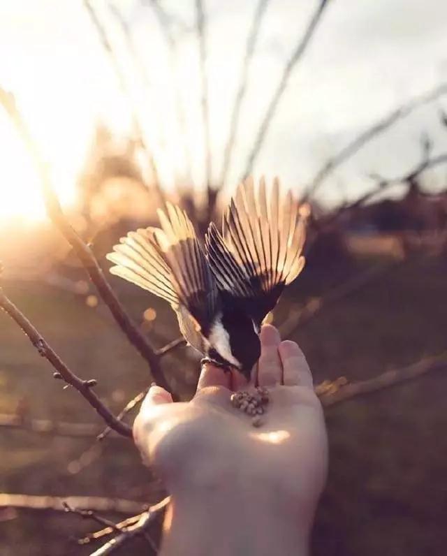 �ۿ��ݾ����Ŀ�����