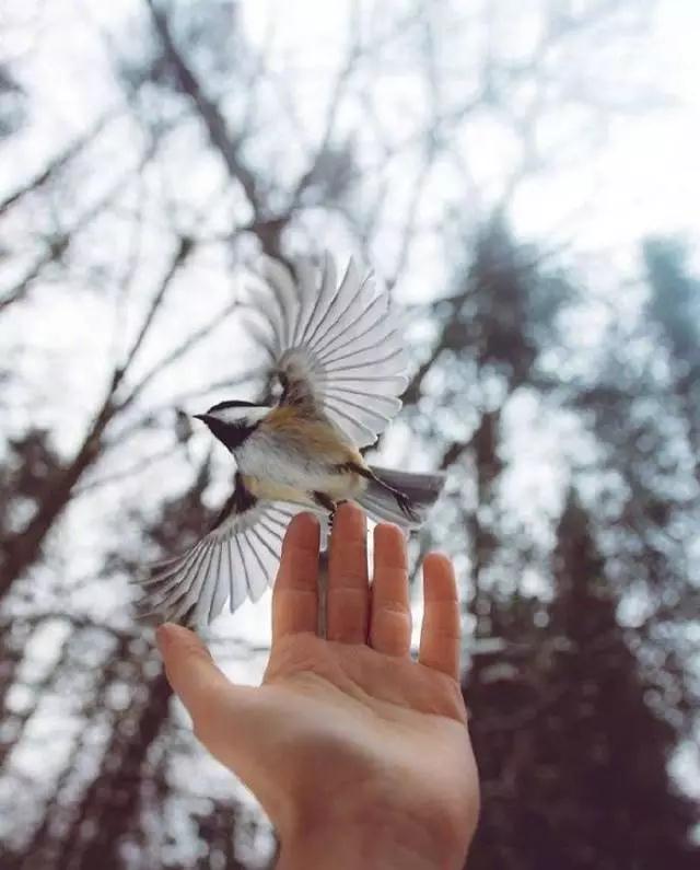 �ۿ��ݾ����Ŀ�����