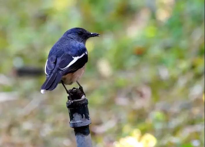 �ۿ��ݾ����Ŀ�����