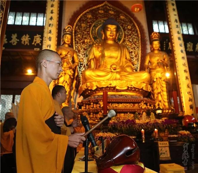 ʲô���������¡����������¡����ǳ���������