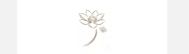 ʲô���������¡����������¡����ǳ���������