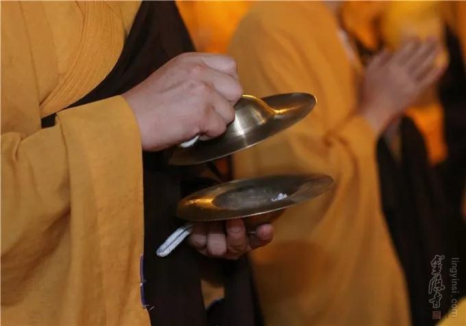 ʲô���������¡����������¡����ǳ���������