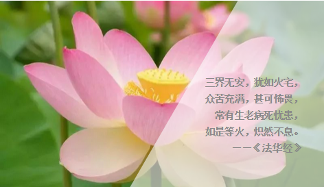 �ڴ��ǻ۵ķ������У����Ƕ�����̰��ĺ���