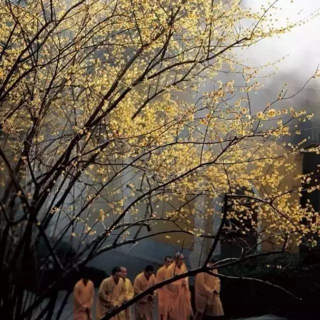 ����_|_����ʮ��������������˿����ˡ�����㼣��