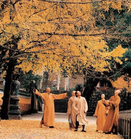 ����_|_����ʮ��������������˿����ˡ�����㼣��