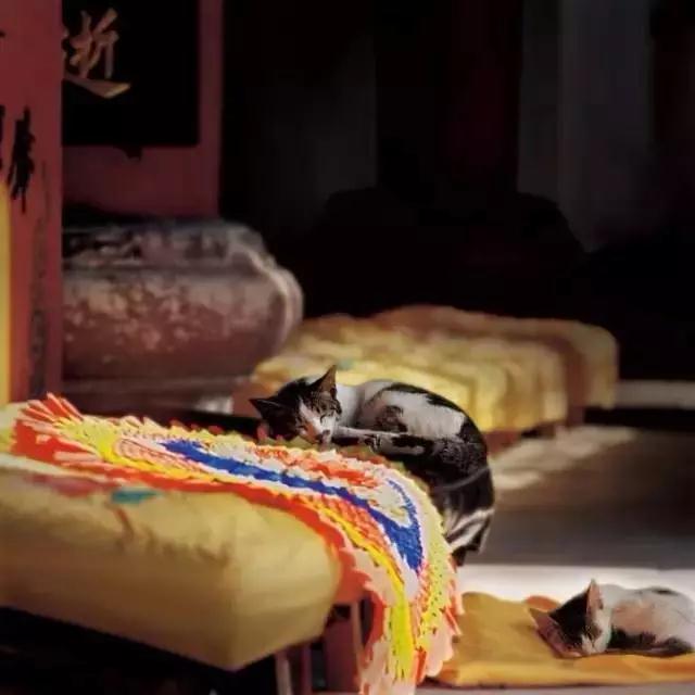 ����_|_����ʮ��������������˿����ˡ�����㼣��