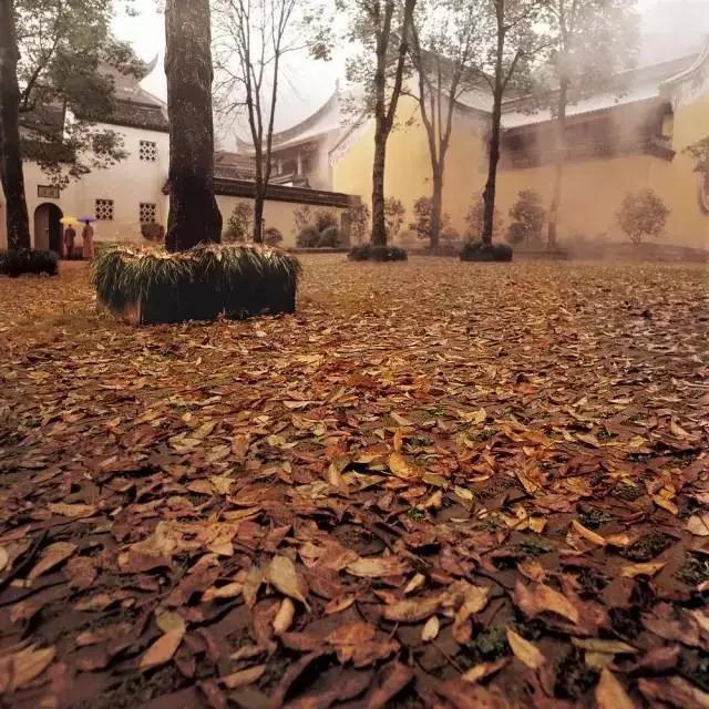 ����_|_����ʮ��������������˿����ˡ�����㼣��