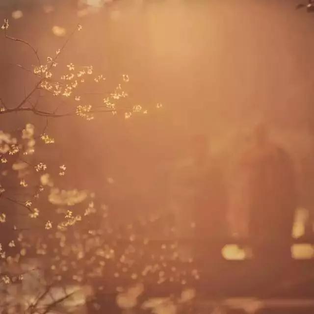 ����_|_����ʮ��������������˿����ˡ�����㼣��