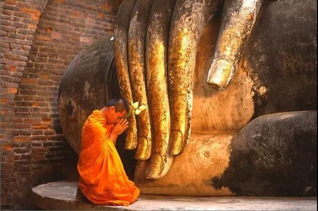 ��ʶ_|_��������Ʋ������ڷŵģ����������������Ƶ�����