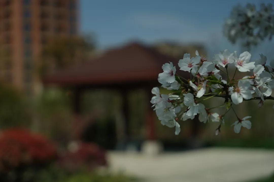 ��ʶ_|_������ҵ��ȥ�ĸ����ܹ������һ���