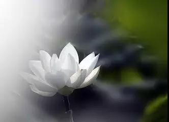 һ���Ƿϵĺ�������������������