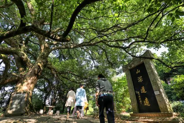 �������ഺ��85��������_���������������