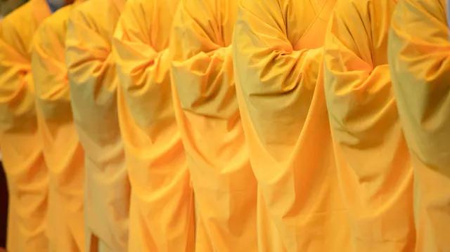 夏天如何“默默无蚊”?教你一招佛系防蚊法! 夏天如何“默默无蚊”?教你一招佛系防蚊法!