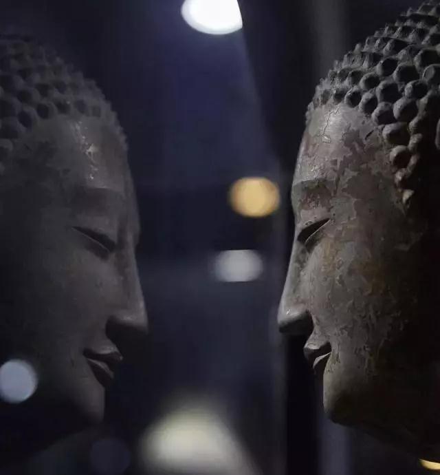 夏天如何“默默无蚊”?教你一招佛系防蚊法! 夏天如何“默默无蚊”?教你一招佛系防蚊法!