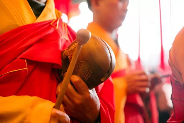 夏天如何“默默无蚊”?教你一招佛系防蚊法! 夏天如何“默默无蚊”?教你一招佛系防蚊法!