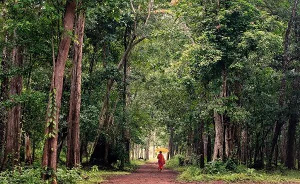 福报越修越少,原因竟是因为这个...... 福报越修越少,原因竟是因为这个......