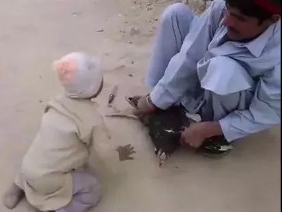 三岁小孩下跪求父亲不要杀生,感动千万网友! 三岁小孩下跪求父亲不要杀生,感动千万网友!