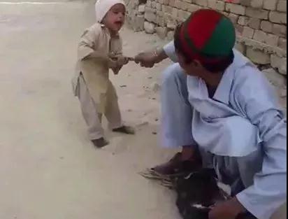 三岁小孩下跪求父亲不要杀生,感动千万网友! 三岁小孩下跪求父亲不要杀生,感动千万网友!