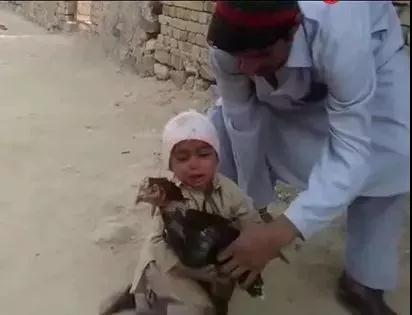 三岁小孩下跪求父亲不要杀生,感动千万网友! 三岁小孩下跪求父亲不要杀生,感动千万网友!