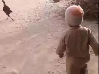 三岁小孩下跪求父亲不要杀生,感动千万网友! 三岁小孩下跪求父亲不要杀生,感动千万网友!