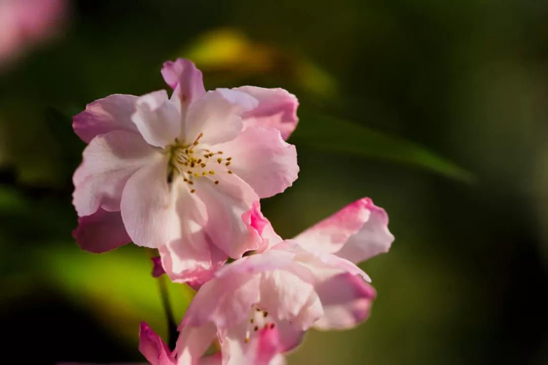 ����_|_ֻҪ���ҵ��û�г��죬����л��������