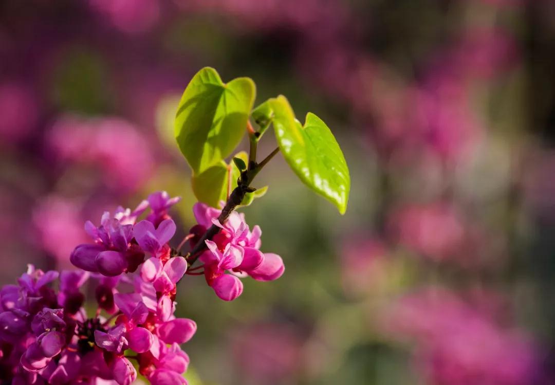 ����_|_ֻҪ���ҵ��û�г��죬����л��������