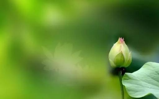 ӡ�ⷨʦ���������Ķ������ӿڶ������Ӷ�����