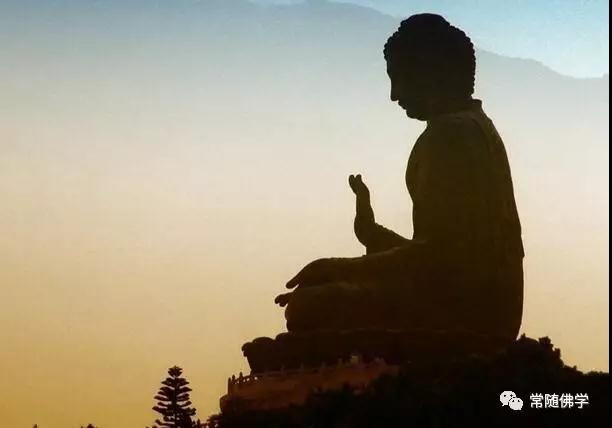 ���Ƣ�����������������˸�