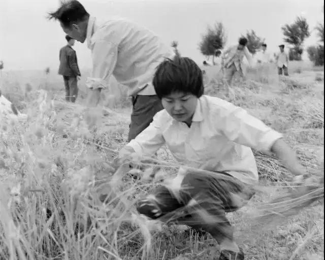 人物_|_这对北大情侣坚守58年,为中国留住1700年文化遗产 人物_|_这对北大情侣坚守58年,为中国留住1700年文化遗产