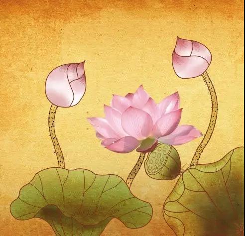 ӡ�ⷨʦ�����������Կɽ��Ѽ�����