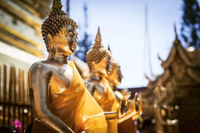 �����Ĺ��������²���˼�飡�����βγ��Ͻ��޹������