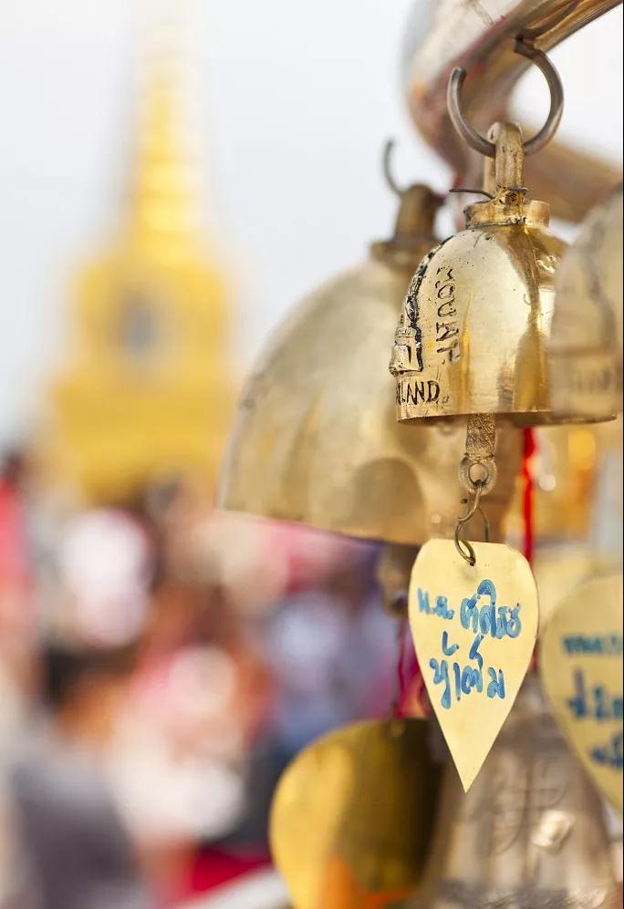 Ե�ֲ�ǿ������������