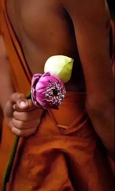 Ե�ֲ�ǿ������������