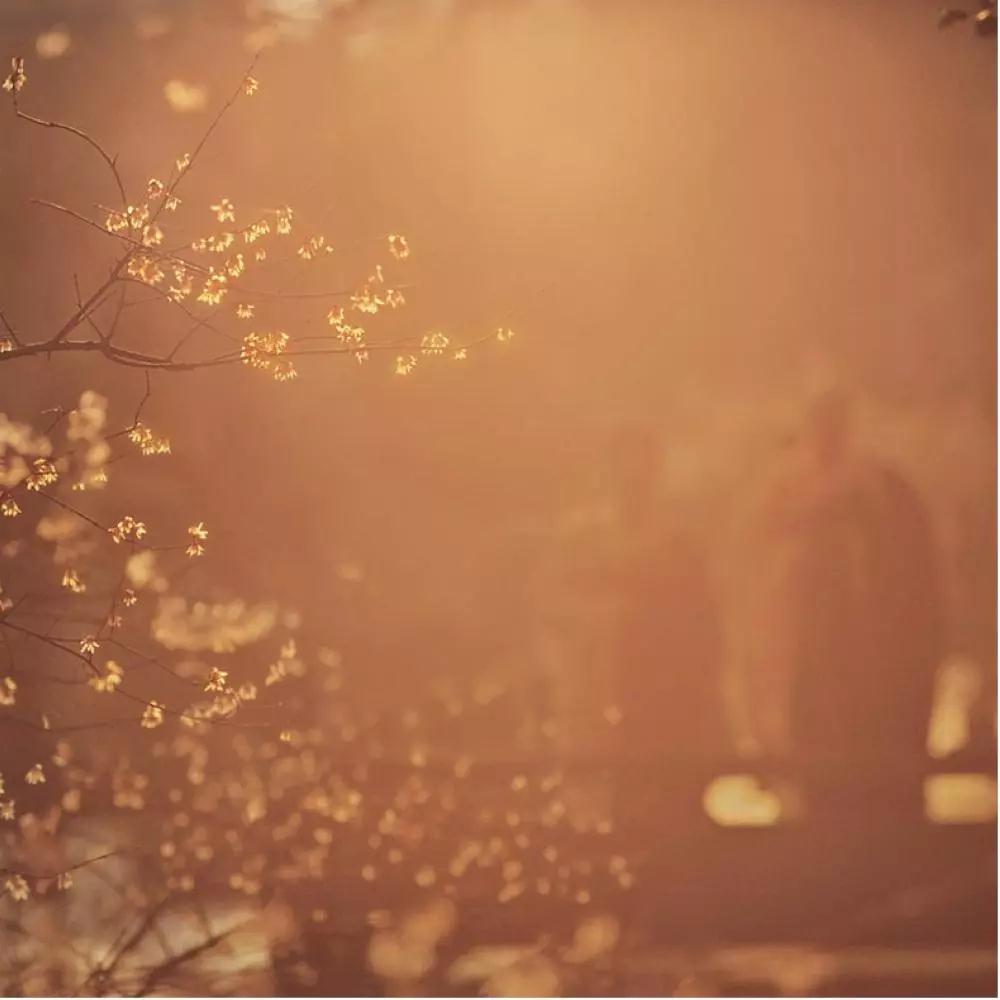 实相_|_你的性格,一定有前生的因缘在起作用 实相_|_你的性格,一定有前生的因缘在起作用