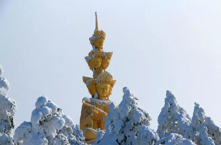 ˭���������еġ����Ŵ�ࡱ��