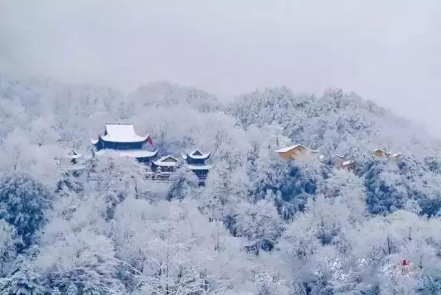 ˭���������еġ����Ŵ�ࡱ��