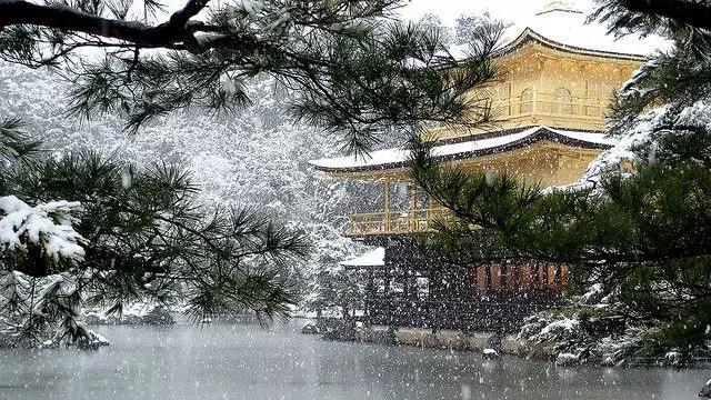 ˭���������еġ����Ŵ�ࡱ��