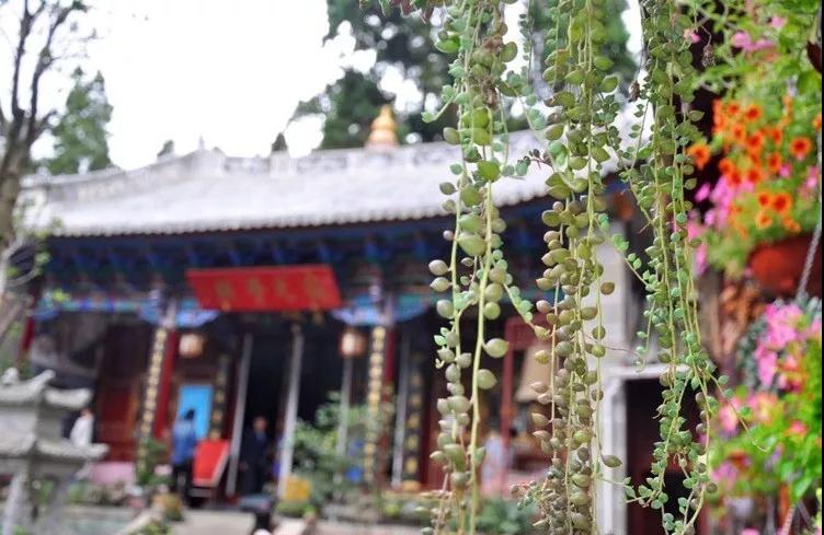 中国最文艺比丘尼道场_|_一花一木、一砖一瓦,语默动静体自然,…… 中国最文艺比丘尼道场_|_一花一木、一砖一瓦,语默动静体自然,……