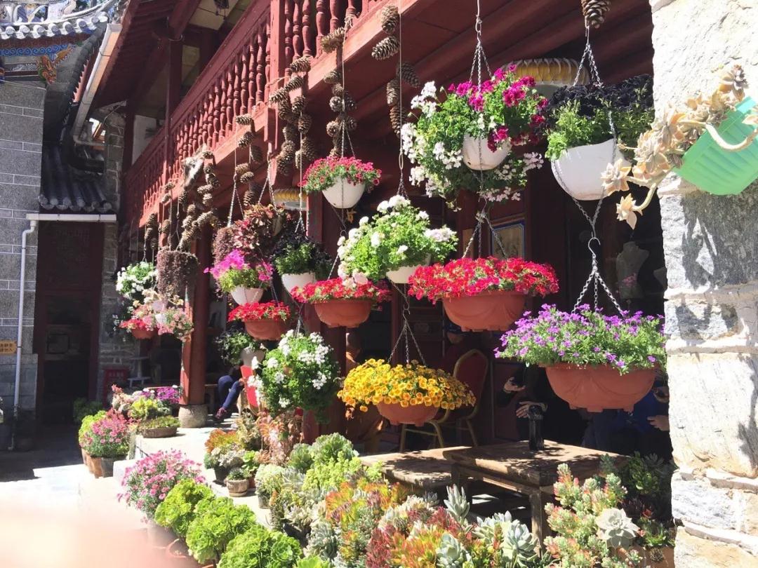 中国最文艺比丘尼道场_|_一花一木、一砖一瓦,语默动静体自然,…… 中国最文艺比丘尼道场_|_一花一木、一砖一瓦,语默动静体自然,……