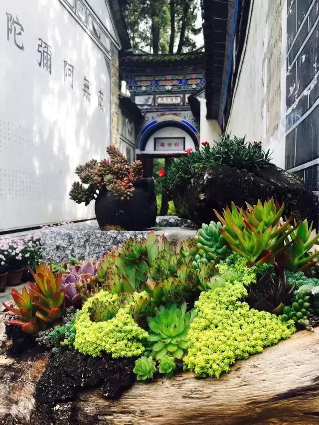 中国最文艺比丘尼道场_|_一花一木、一砖一瓦,语默动静体自然,…… 中国最文艺比丘尼道场_|_一花一木、一砖一瓦,语默动静体自然,……