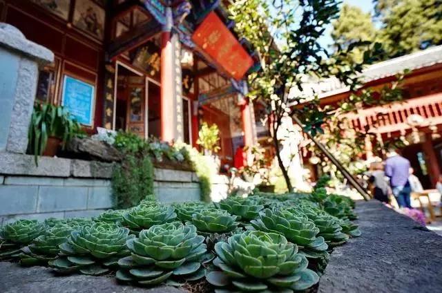 中国最文艺比丘尼道场_|_一花一木、一砖一瓦,语默动静体自然,…… 中国最文艺比丘尼道场_|_一花一木、一砖一瓦,语默动静体自然,……