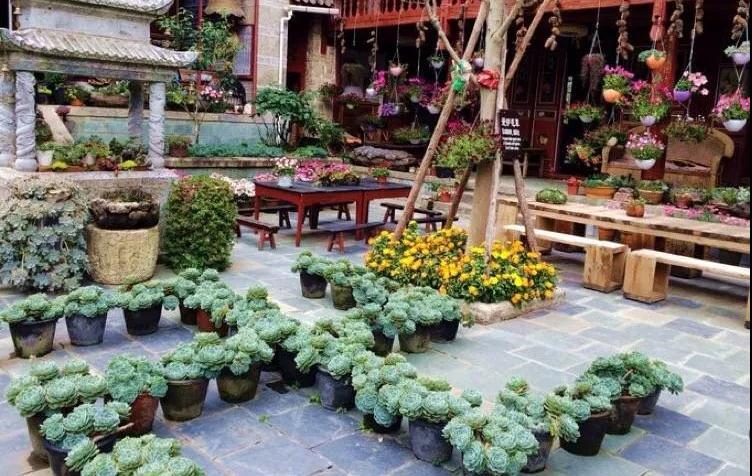 中国最文艺比丘尼道场_|_一花一木、一砖一瓦,语默动静体自然,…… 中国最文艺比丘尼道场_|_一花一木、一砖一瓦,语默动静体自然,……