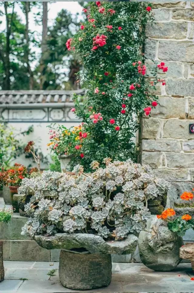 中国最文艺比丘尼道场_|_一花一木、一砖一瓦,语默动静体自然,…… 中国最文艺比丘尼道场_|_一花一木、一砖一瓦,语默动静体自然,……