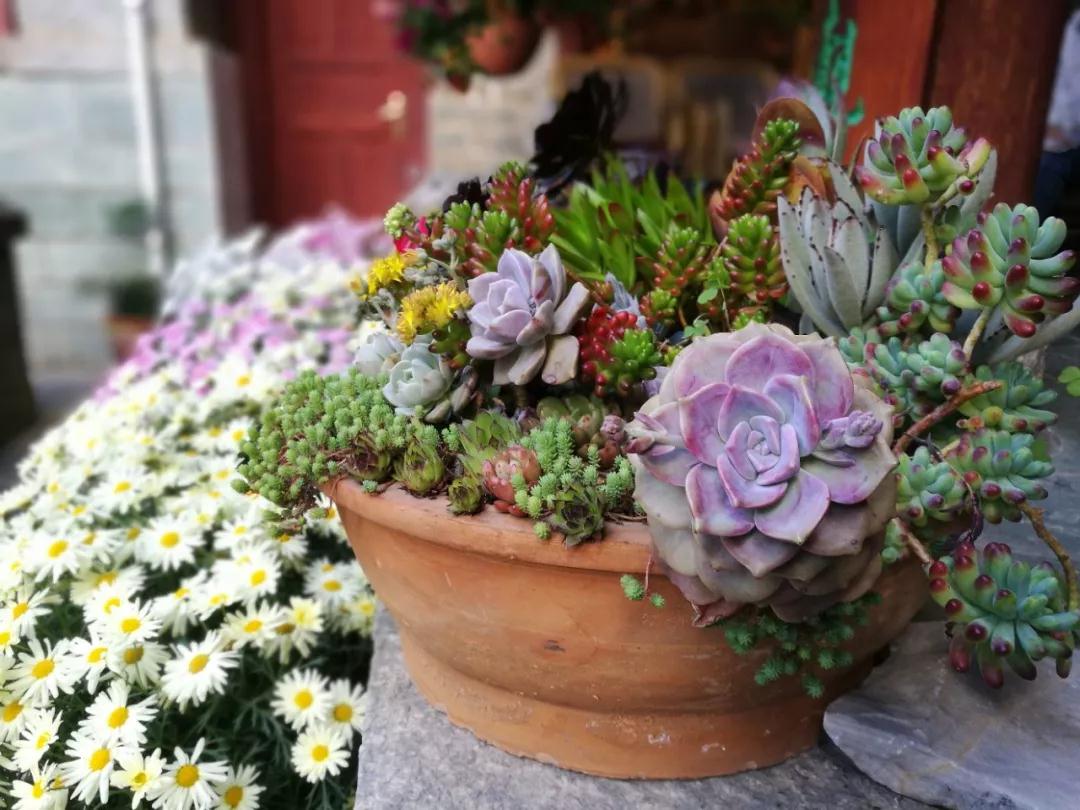 中国最文艺比丘尼道场_|_一花一木、一砖一瓦,语默动静体自然,…… 中国最文艺比丘尼道场_|_一花一木、一砖一瓦,语默动静体自然,……